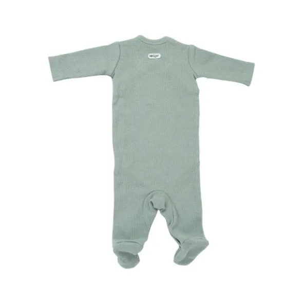 Lodger Nomad Rib Boxpakje - Mt. 50 - Peppermint