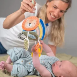 Taf Toys Savannah Activiteitenkubus